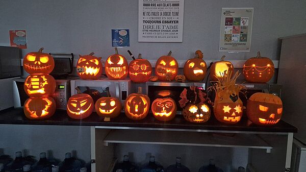 rows of illuminated pumpkins